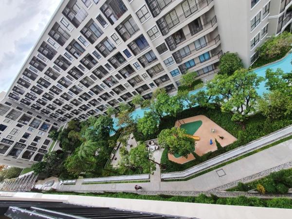 ลา กาซิตา หัวหิน by สามใบเถา : photo 5 de la chambre studio - vue sur piscine