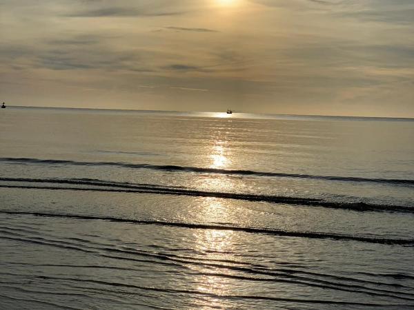 ลา กาซิตา หัวหิน by สามใบเถา : photo 6 de la chambre studio - vue sur piscine