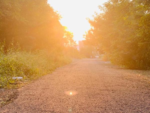 Sunrise homes : photo 7 de la chambre lit dans un dortoir de 4 lits