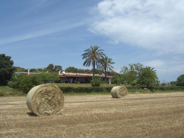 Santa Igia - Country House : photo 9 de la chambre appartement - vue sur piscine