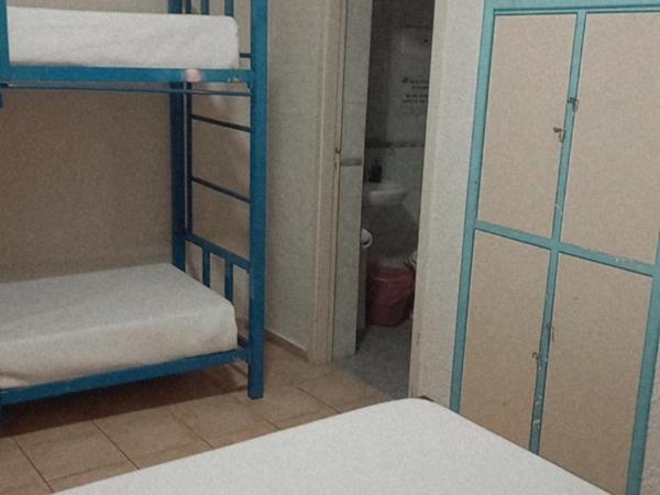 Black Sheep International Hostel : photo 2 de la chambre chambre quadruple classique