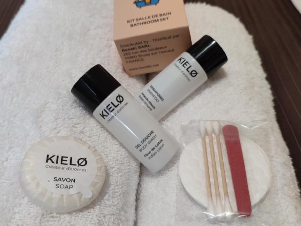 Château Saint-Martin : photo 2 de la chambre chambre double - vue sur jardin