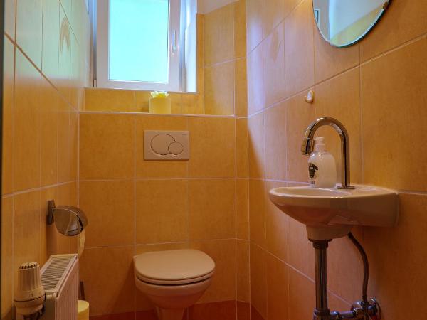 Flataid Gästehaus Graschi - Steinbergstraße : photo 4 de la chambre chambre simple avec salle de bains privative