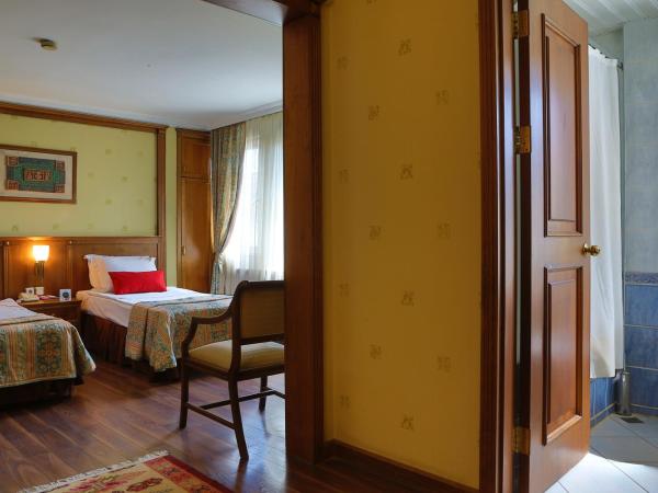 Elit Palas Hotel : photo 3 de la chambre chambre lits jumeaux standard