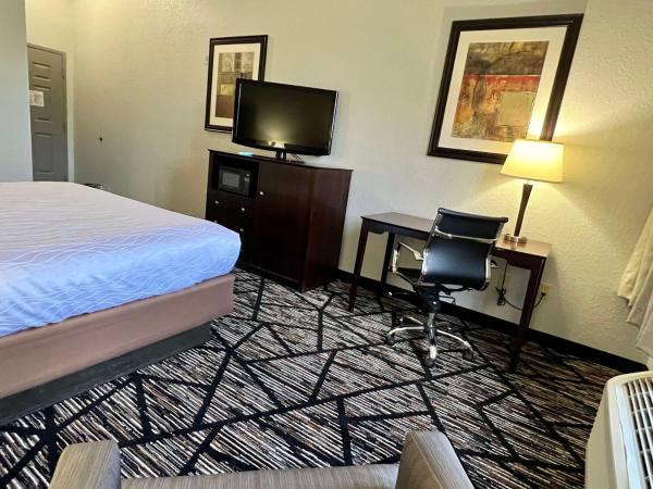 Best Western PLUS Hobby Airport Inn and Suites : photo 3 de la chambre chambre lit king-size - non-fumeurs