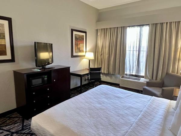 Best Western PLUS Hobby Airport Inn and Suites : photo 2 de la chambre chambre lit king-size - non-fumeurs