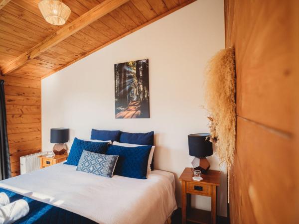 Paradise Valley Lodge : photo 2 de la chambre studio - accessible aux personnes à mobilité réduite