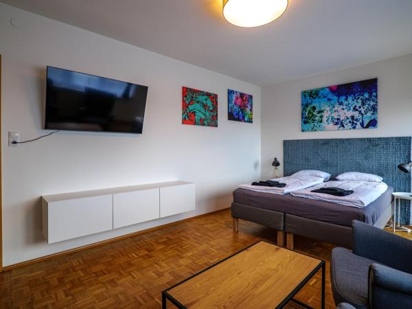 Flataid Gästehaus Graschi - Steinbergstraße : photo 1 de la chambre appartement 3 chambres