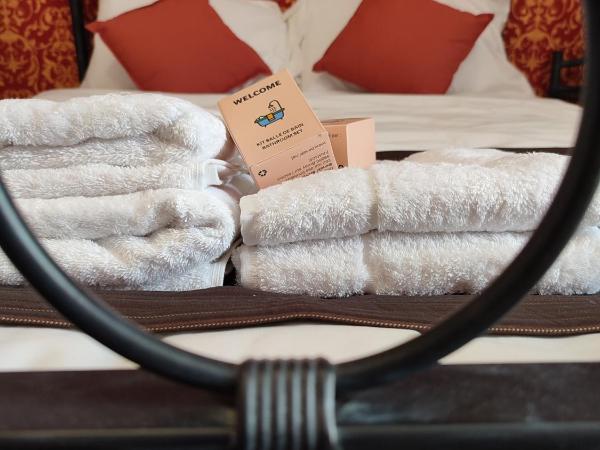 Château Saint-Martin : photo 5 de la chambre chambre familiale - vue sur jardin