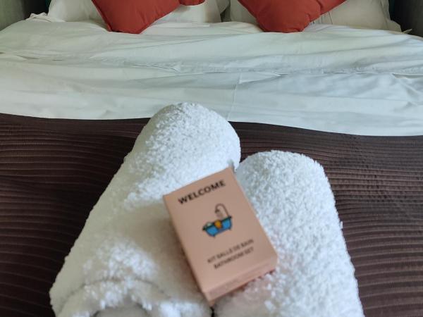 Château Saint-Martin : photo 7 de la chambre studio standard