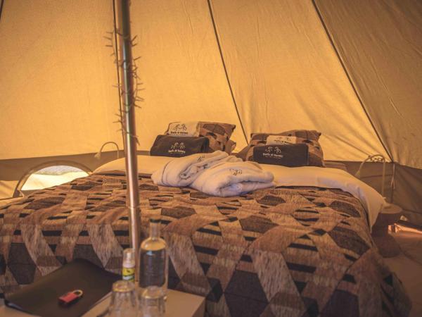 Boris & Barney : photo 3 de la chambre tente