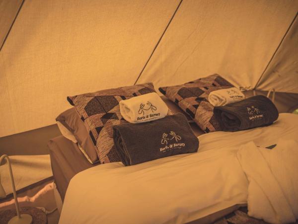 Boris & Barney : photo 2 de la chambre tente