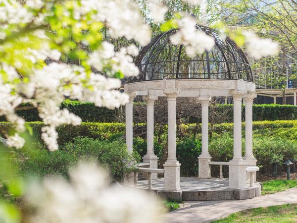 The Ritz-Carlton Beijing : photo 1 de la chambre hébergement deluxe avec lit king-size - vue sur jardin