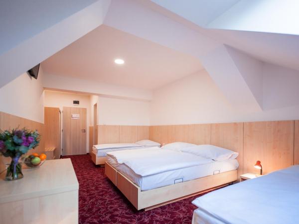 Hotel Pivovar : photo 6 de la chambre chambre quadruple Économique