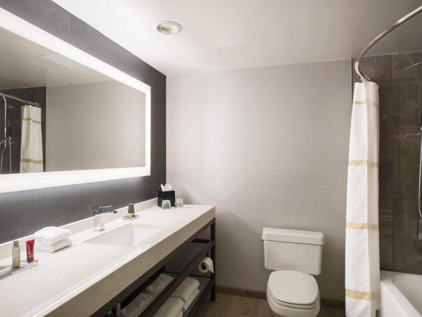 Courtyard by Marriott Chicago at Medical District-UIC : photo 3 de la chambre studio lit king-size