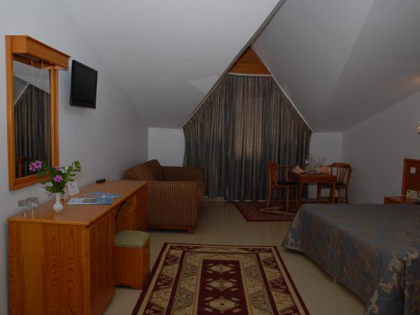 Marmaris Park Hotel : photo 3 de la chambre chambre double Économique