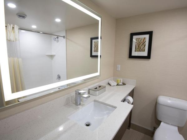 Victoria Inn Hotel and Convention Center Winnipeg : photo 6 de la chambre chambre lit king-size affaires - Étage affaires