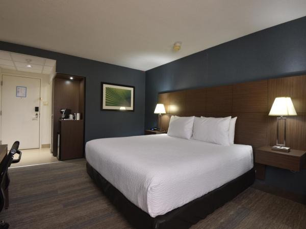 Victoria Inn Hotel and Convention Center Winnipeg : photo 6 de la chambre chambre premier avec 1 lit king-size
