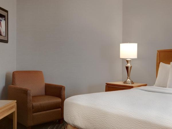 Days Inn by Wyndham Niagara Falls Near The Falls : photo 4 de la chambre chambre lit king-size - non-fumeurs