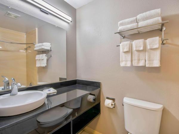 Studio 6-San Antonio, TX - Medical Center : photo 5 de la chambre chambre lit queen-size - non-fumeurs