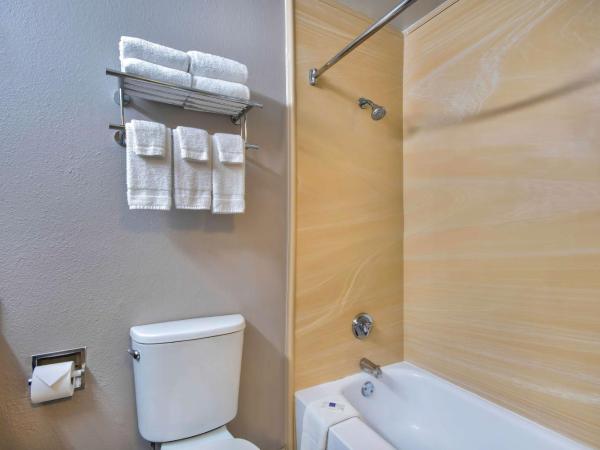 Studio 6-San Antonio, TX - Medical Center : photo 4 de la chambre chambre lit queen-size - non-fumeurs