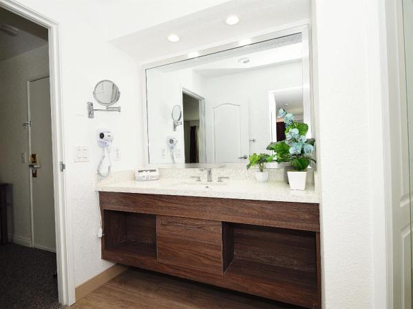 Serene Vegas Boutique Hotel Las Vegas : photo 8 de la chambre chambre lit king-size rk