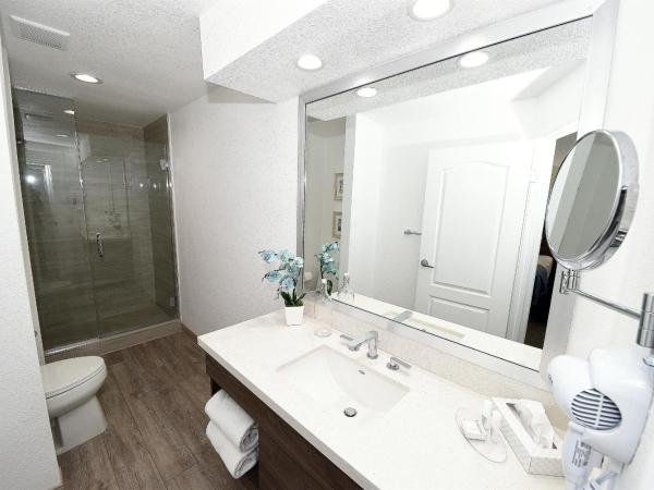 Serene Vegas Boutique Hotel Las Vegas : photo 10 de la chambre chambre lit king-size rk