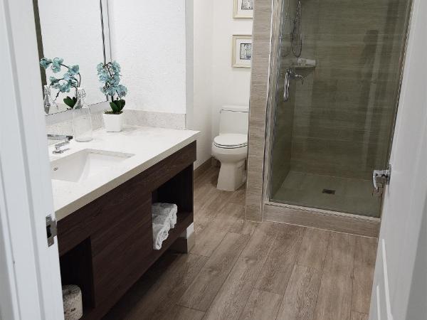 Serene Vegas Boutique Hotel Las Vegas : photo 10 de la chambre chambre avec 2 lits queen-size rqqv - vue sur cour