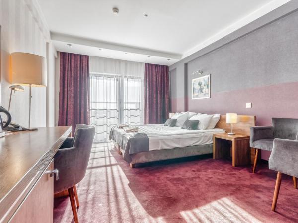 Hotel Swing : photo 3 de la chambre chambre exécutive lit queen-size