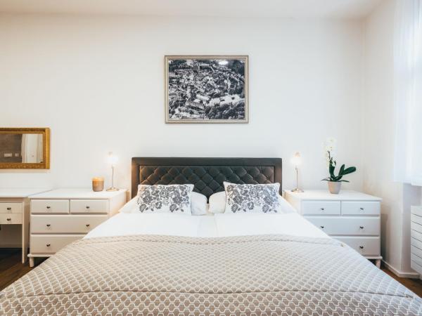 Hotel Zlaty Andel : photo 2 de la chambre appartement luxe