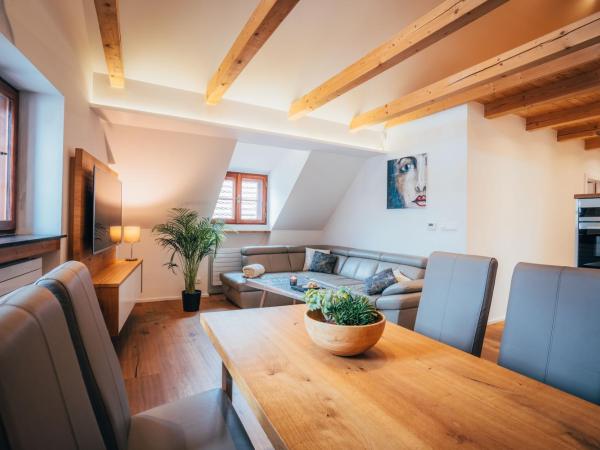 Hotel Zlaty Andel : photo 10 de la chambre appartement luxe