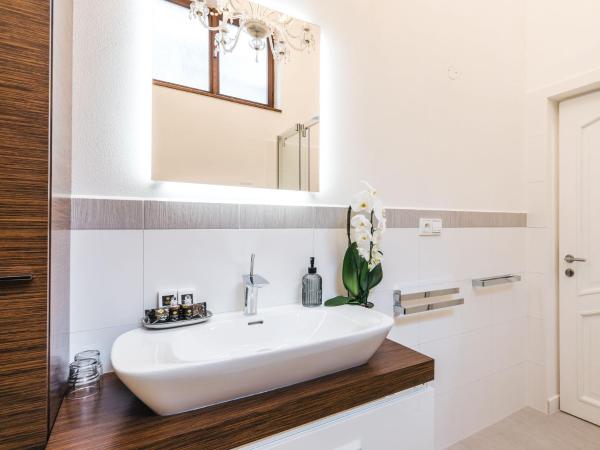 Hotel Zlaty Andel : photo 3 de la chambre suite junior