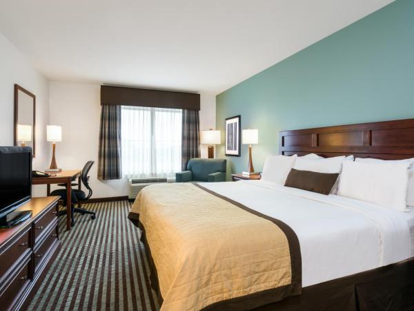 Baymont by Wyndham Denver International Airport : photo 4 de la chambre chambre lit king-size - non-fumeurs