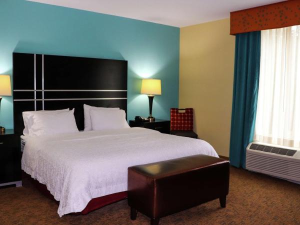 Hampton Inn Austin Oak Hill : photo 1 de la chambre chambre lit king-size - adaptée aux personnes malentendantes - non-fumeurs