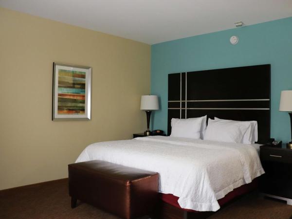 Hampton Inn Austin Oak Hill : photo 1 de la chambre chambre lit king-size - accessible aux personnes à mobilité réduite - non-fumeurs 