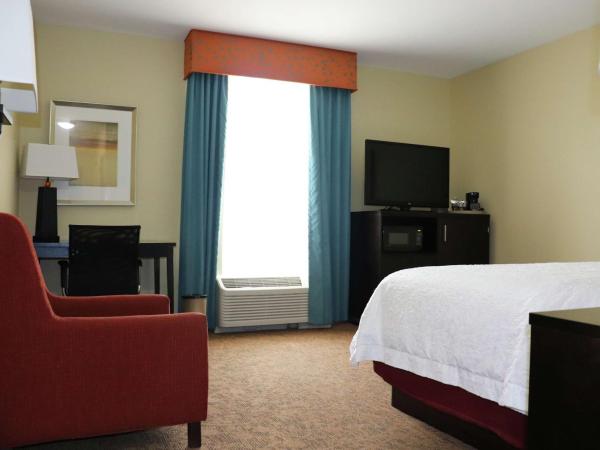 Hampton Inn Austin Oak Hill : photo 2 de la chambre chambre lit king-size - non-fumeurs
