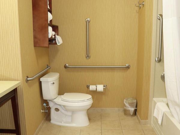 Hampton Inn Austin Oak Hill : photo 3 de la chambre chambre lit king-size - accessible aux personnes à mobilité réduite - non-fumeurs 