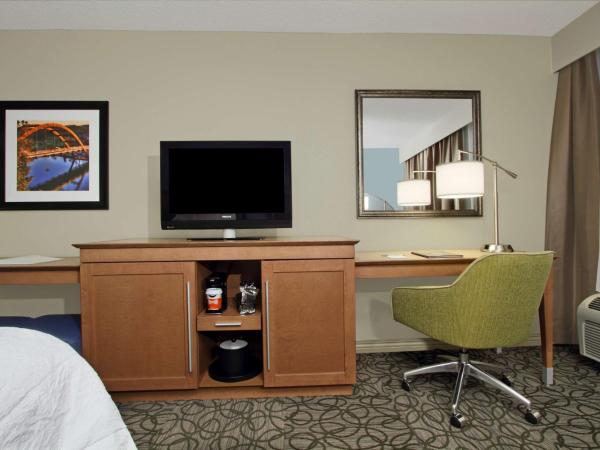 Hampton by Hilton Austin South - I-35 & Ben White : photo 2 de la chambre chambre lit king-size - non-fumeurs