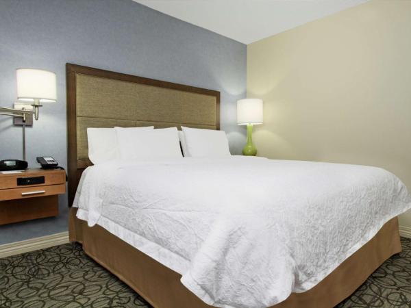 Hampton by Hilton Austin South - I-35 & Ben White : photo 3 de la chambre chambre lit king-size - non-fumeurs