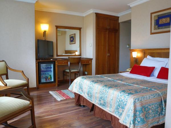 Elit Palas Hotel : photo 1 de la chambre chambre familiale