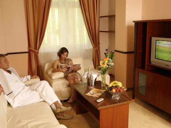 Royal Marianske Lazne : photo 4 de la chambre special offer - double or twin room with panoramic view and spa package