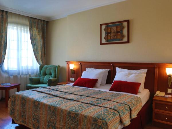 Elit Palas Hotel : photo 2 de la chambre chambre double standard