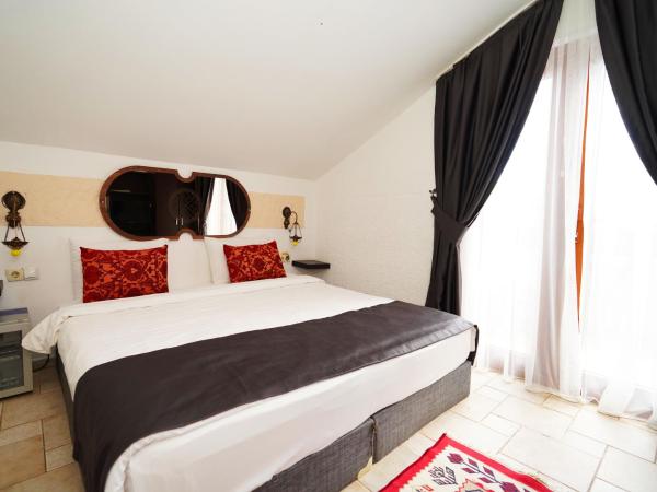 Cicerone Lodge Hotel : photo 1 de la chambre chambre double Économique