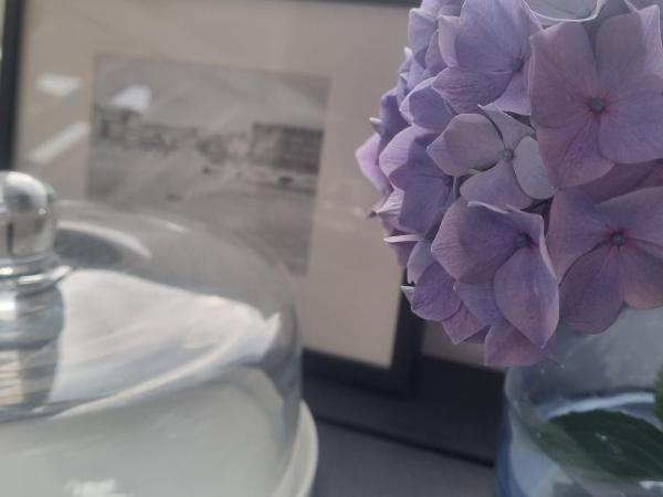 Hotel De L'Europe : photo 7 de la chambre chambre double ou lits jumeaux confort