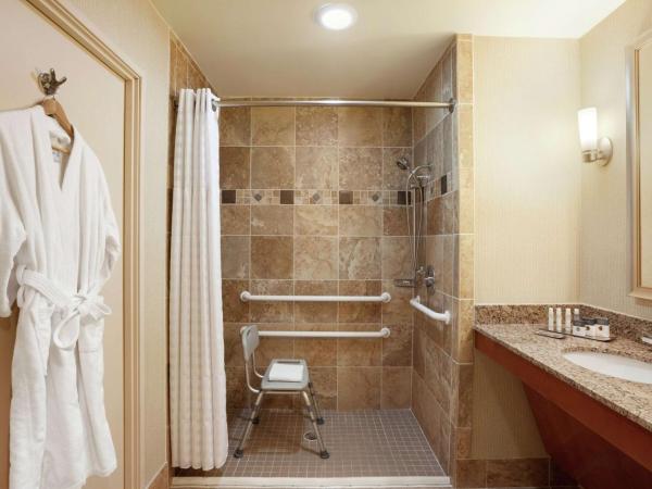 DoubleTree by Hilton Hotel Dallas - Love Field : photo 3 de la chambre chambre avec 2 lits queen-size - accessible aux personnes à mobilité réduite