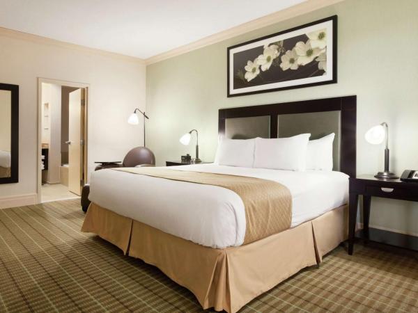 DoubleTree by Hilton Hotel Dallas - Love Field : photo 1 de la chambre suite lit king-size avec canapé-lit