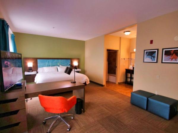 Hampton Inn & Suites Jacksonville Beach Boulevard/Mayo Clinic : photo 2 de la chambre suite studio lit king-size - non-fumeurs