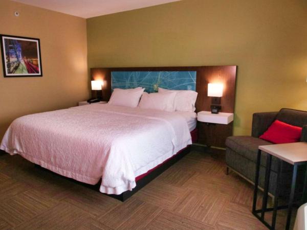 Hampton Inn & Suites Jacksonville Beach Boulevard/Mayo Clinic : photo 3 de la chambre chambre lit king-size - non-fumeurs