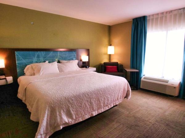 Hampton Inn & Suites Jacksonville Beach Boulevard/Mayo Clinic : photo 2 de la chambre chambre lit king-size - non-fumeurs