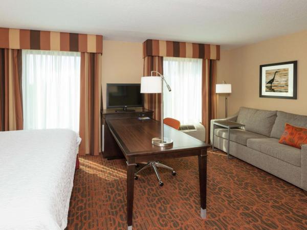 Hampton Inn & Suites Jacksonville-Airport : photo 2 de la chambre suite studio lit king-size avec canapé-lit – non-fumeurs